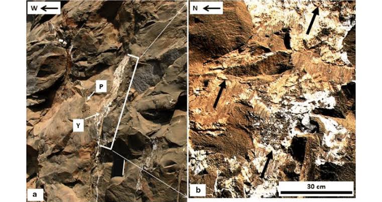 Assistant or Associate Professor in Electron Microscopy of Earth Materials